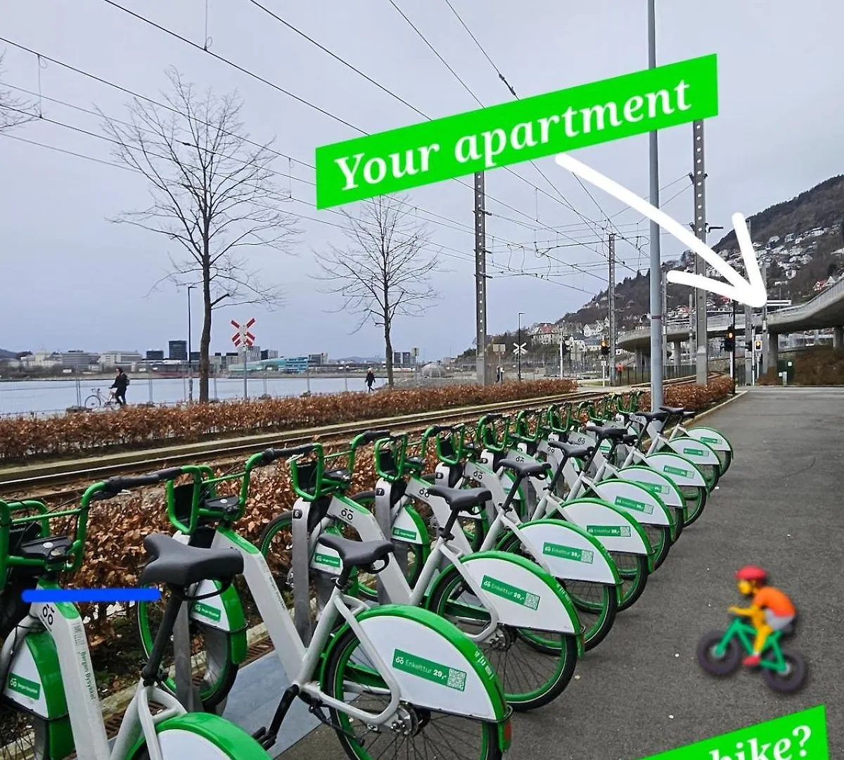 Home Is Where Your Heart Is! Bergen Apartment